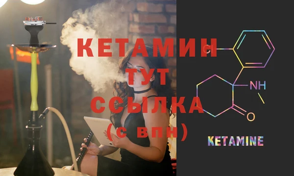 крисы Абаза