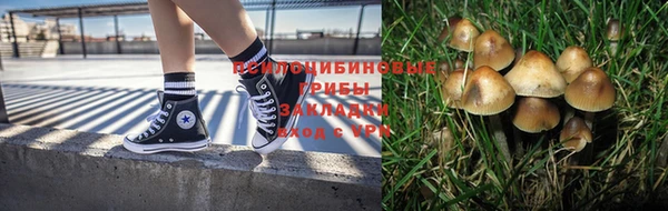 мдпв Корсаков