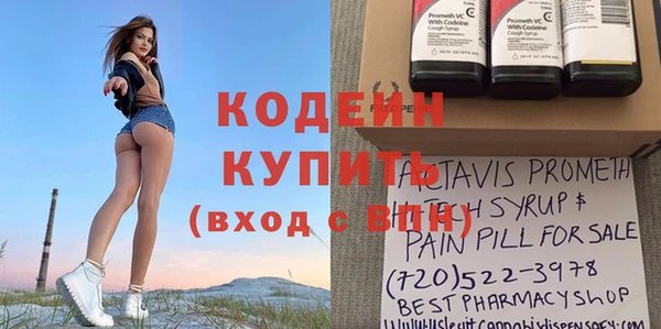 крисы Абаза