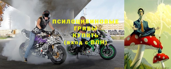 крисы Абаза