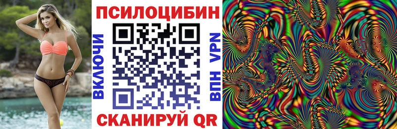 Галлюциногенные грибы Psilocybine cubensis  закладка  Сызрань 