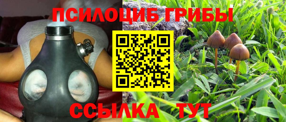 Псилоцибиновые грибы Magic Shrooms Сызрань